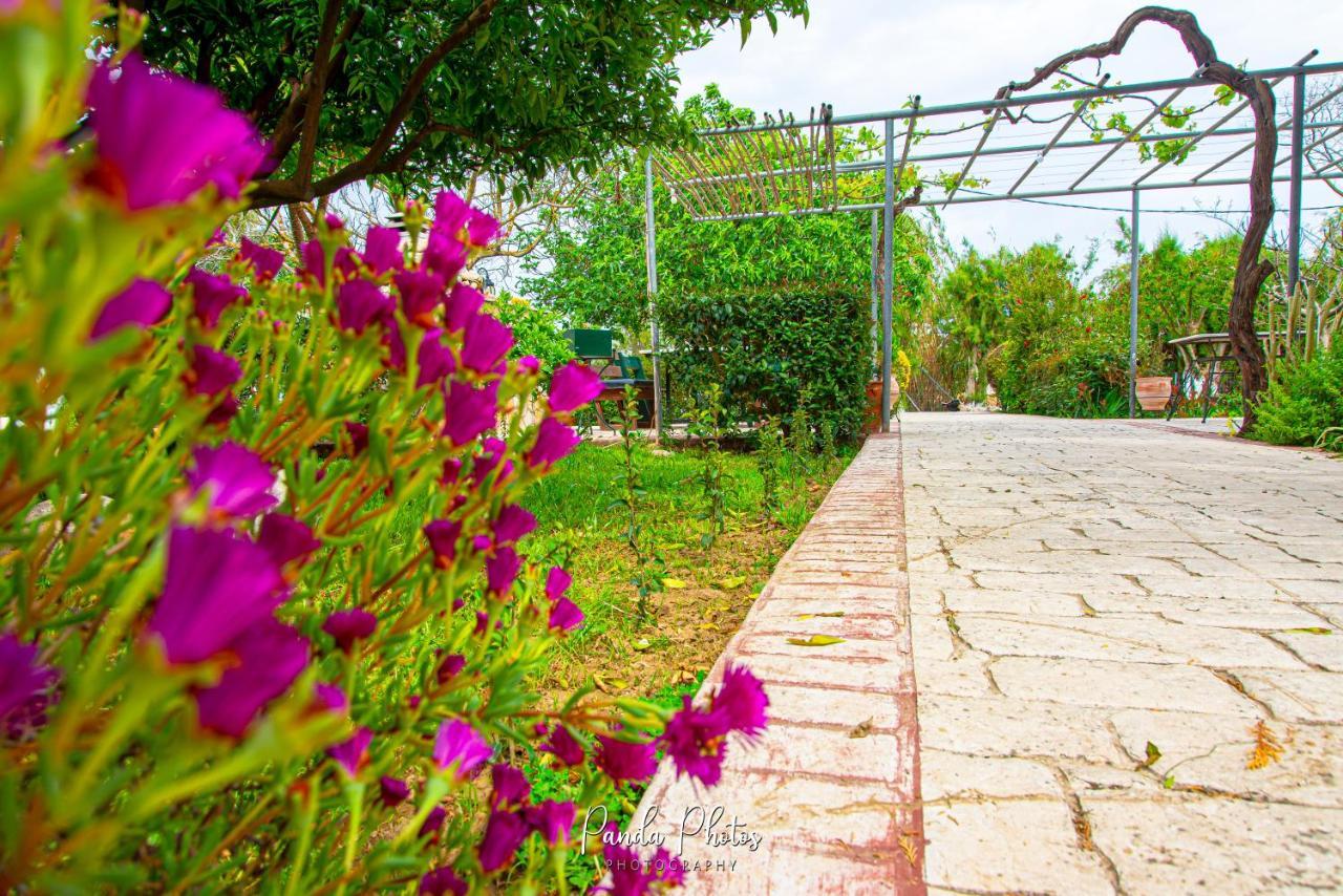 Zante Apts Laganas Luaran gambar